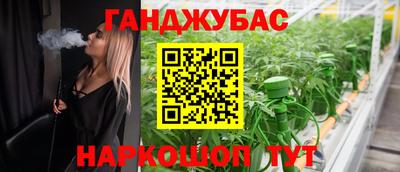 сатива Будённовск
