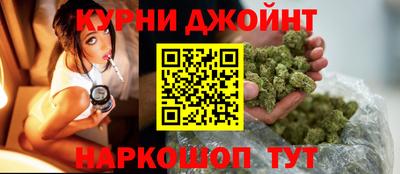 сатива Будённовск